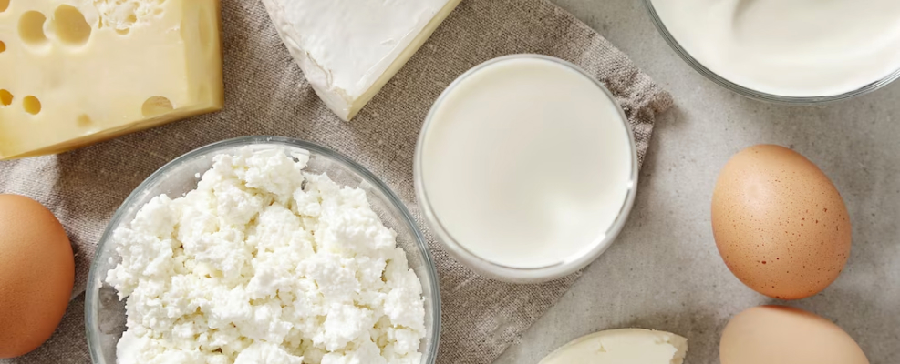 заквасочные-культуры